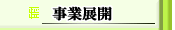 事業展開